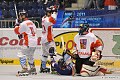 MS IIHF 2011: CZE - SVK 9:2